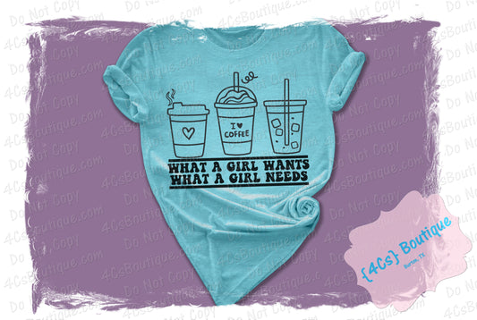 What A Girl Wants What A Girl Needs Shirt