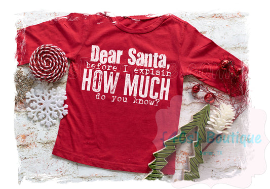 Dear Santa Before I Explain How Much Do You Know? Kids Shirt