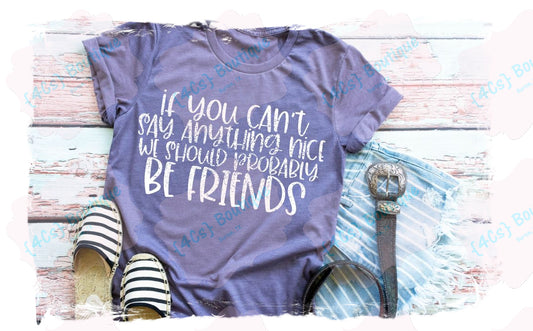 If You Can't Say Anything Nice We Should Probably Be Friends Shirt